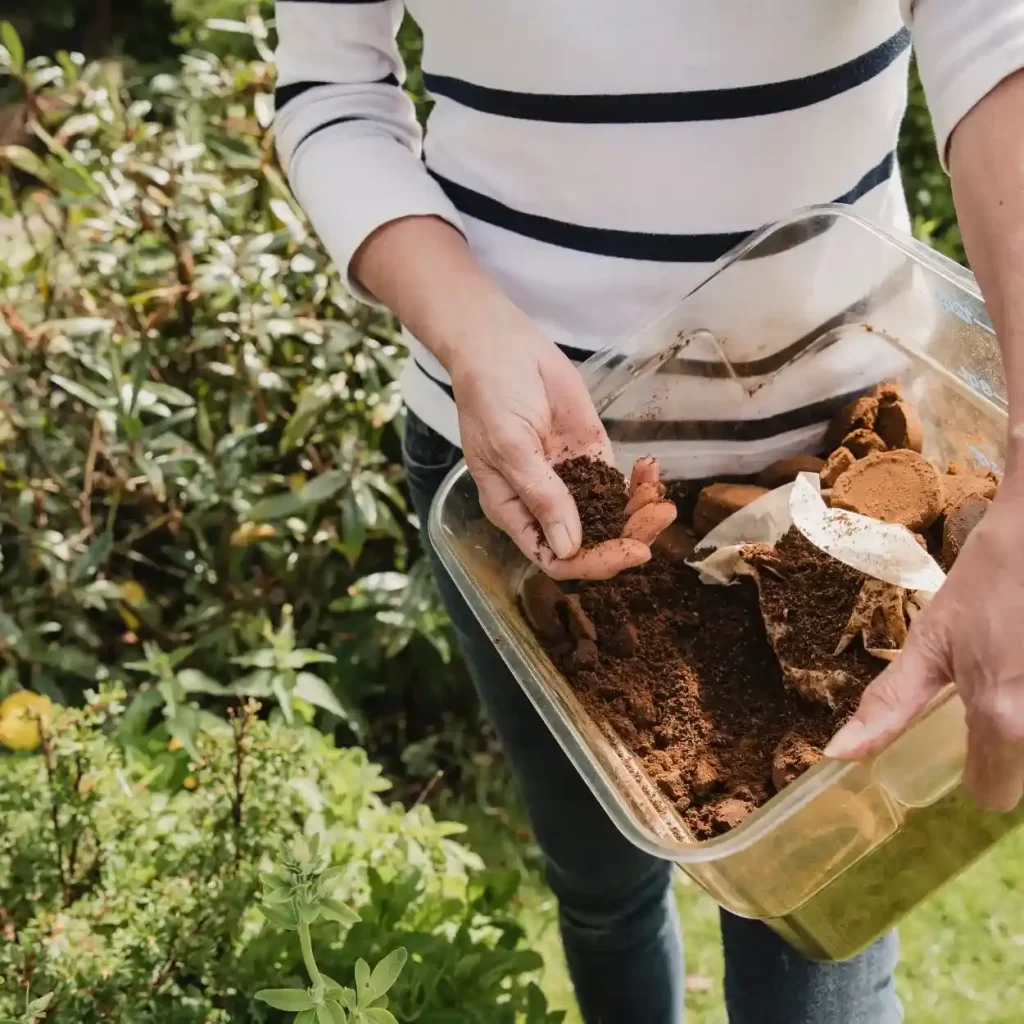 barista composting coffee grounds
