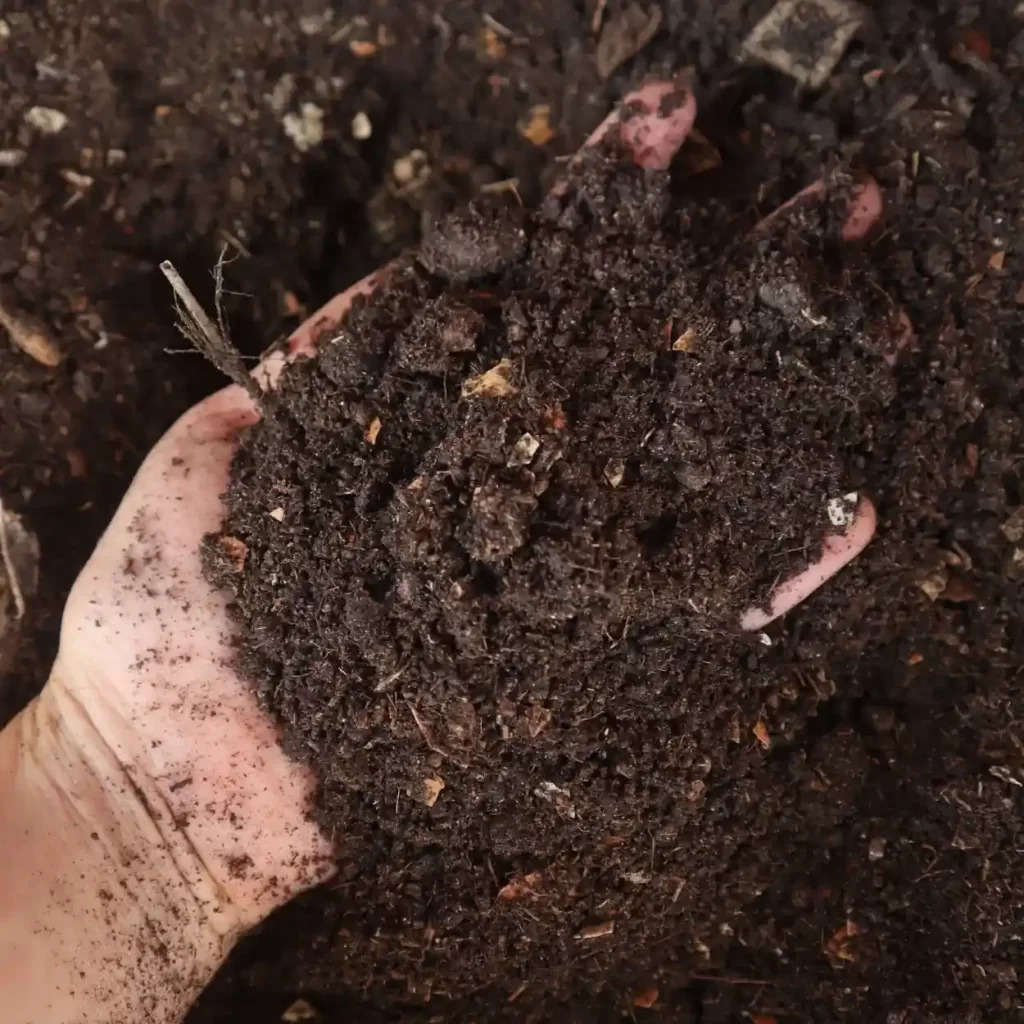 a hand in dirt