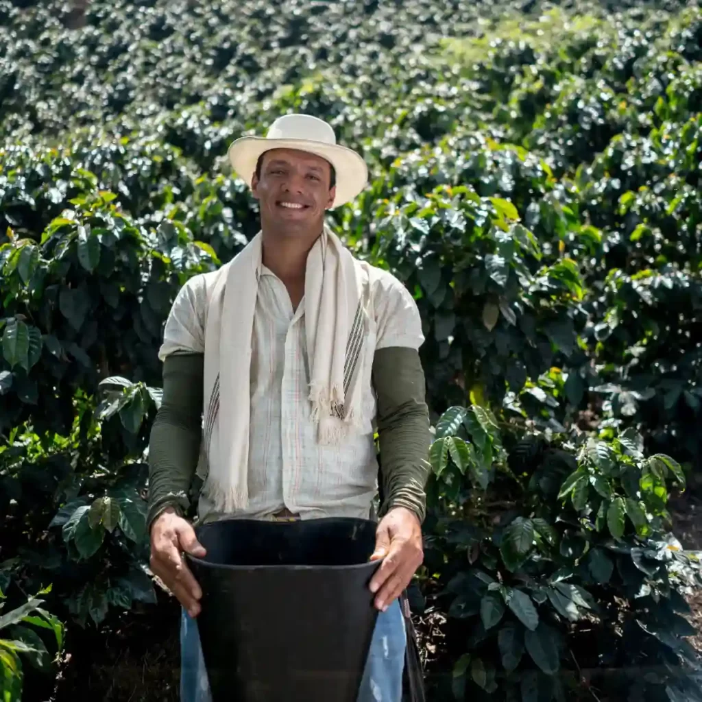 fair trade coffee farming