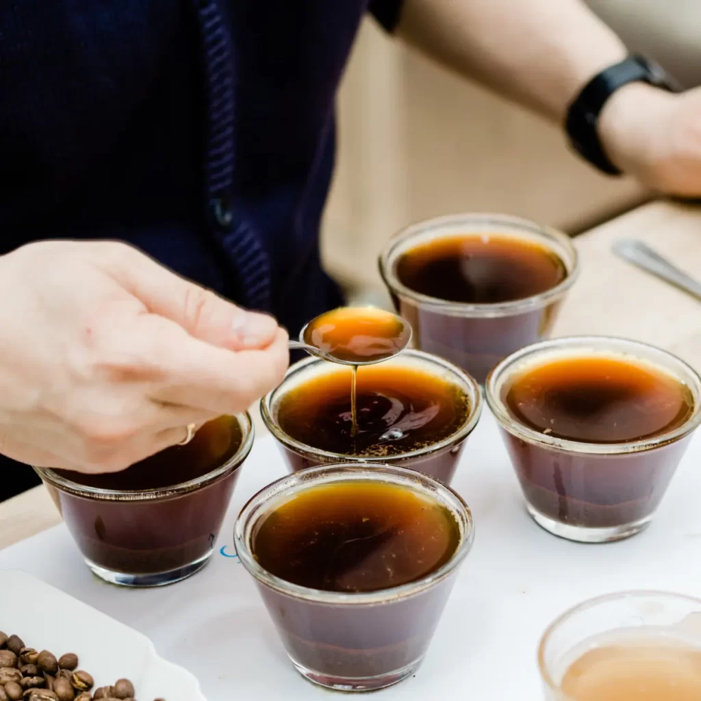 person coffee cupping