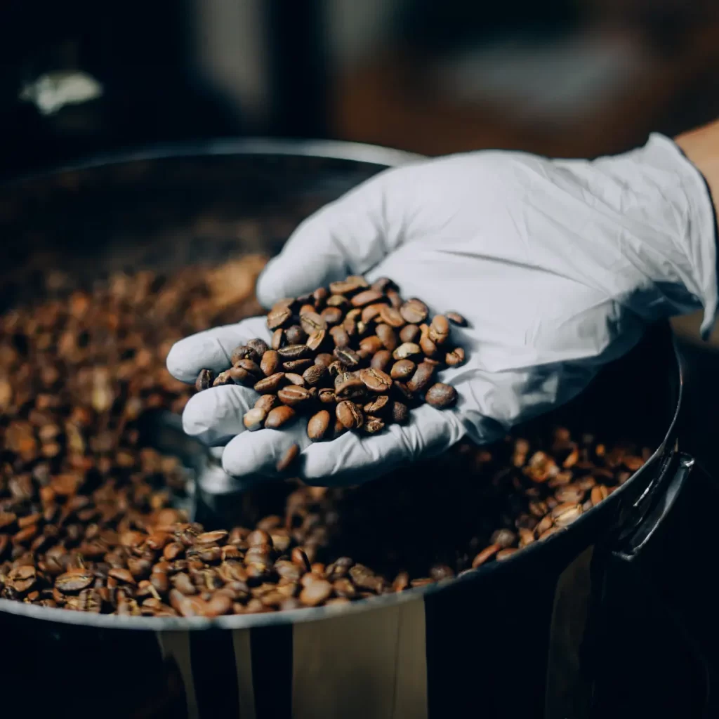 hand with gloves holding freshly roasted coffee beans
