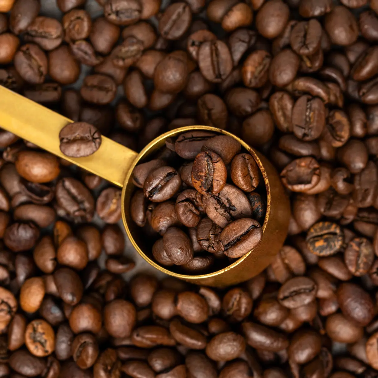 a scoop of coffee beans