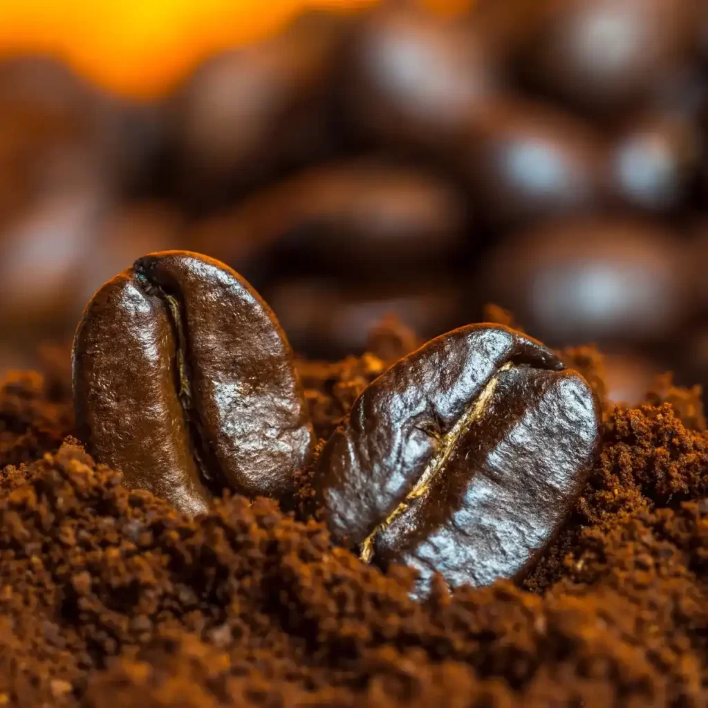 coffee beans sitting in ground coffee