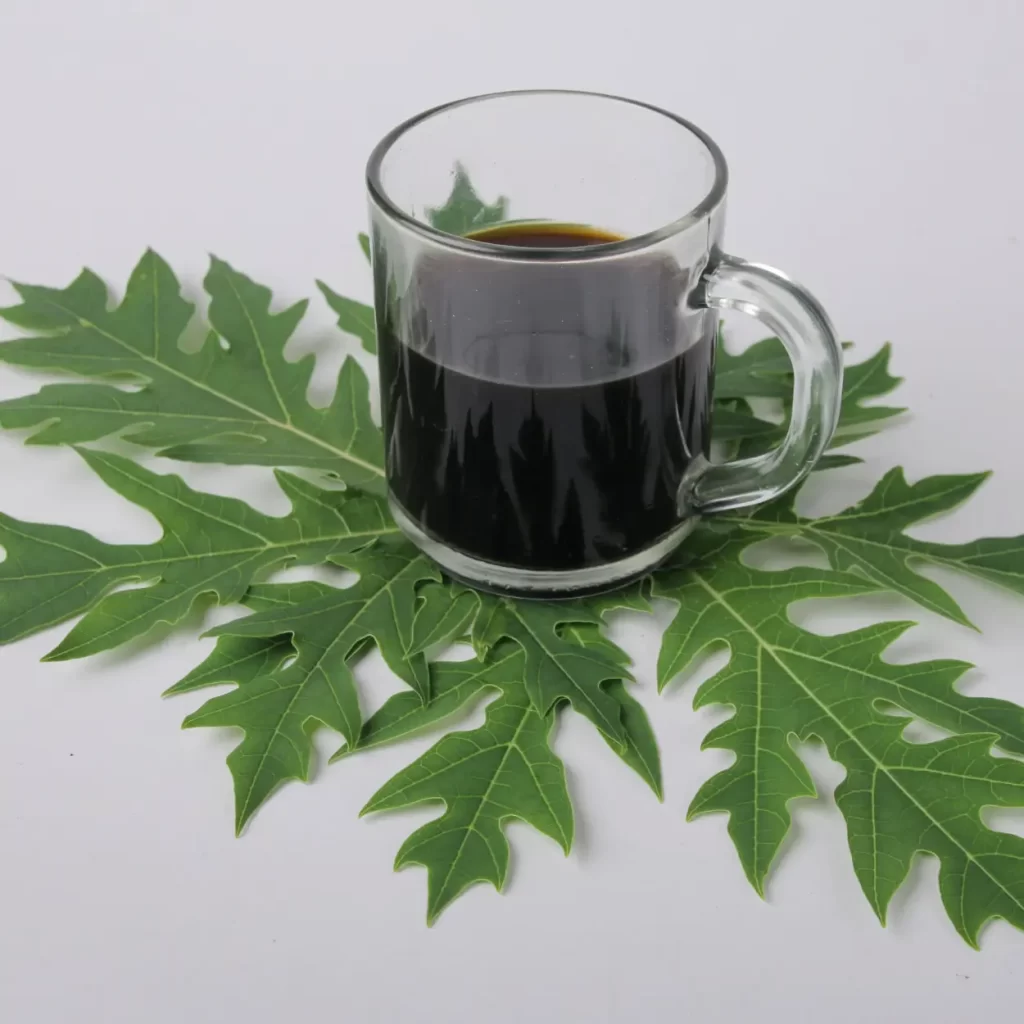black coffee on papaya leaves