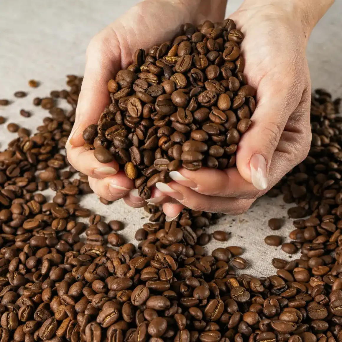 hands holding coffee beans in a pile