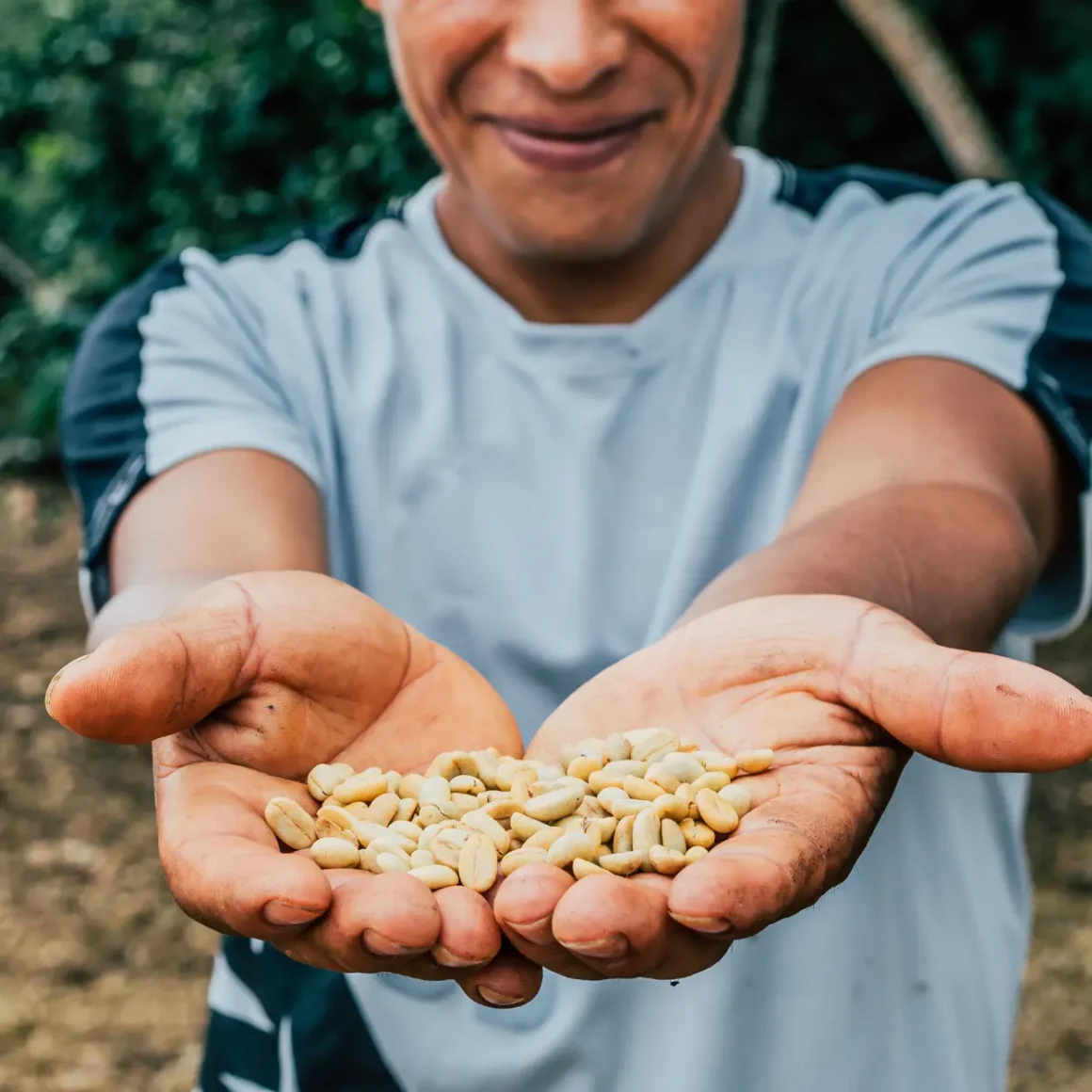 a person holding a handful of beans