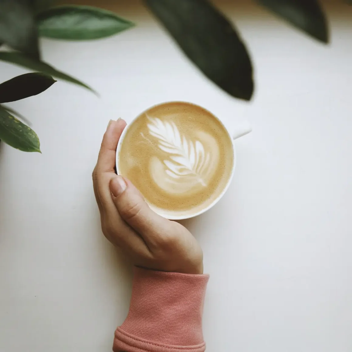 a hand holding a cup of coffee