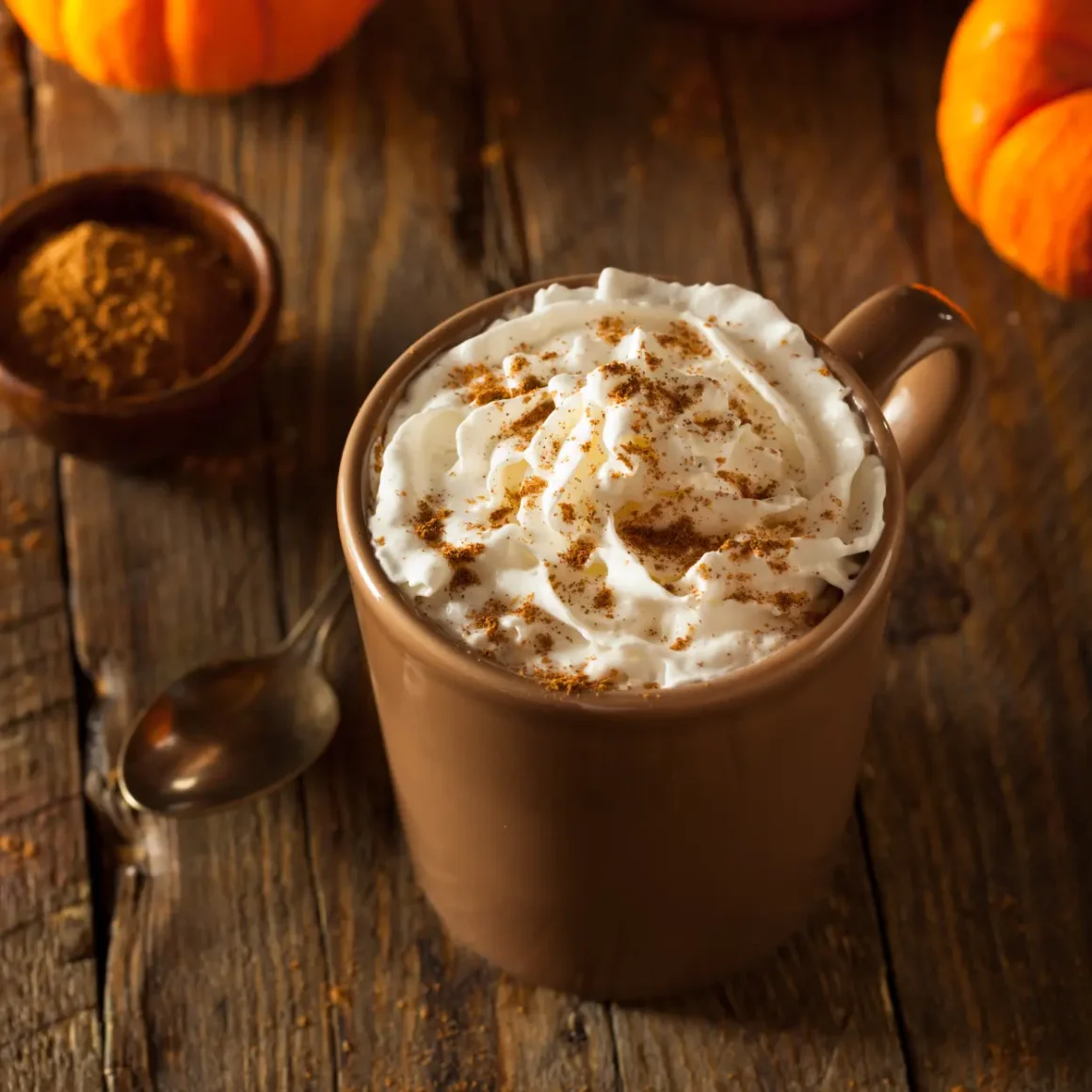 a mug of chocolate pumpkin pie latte
