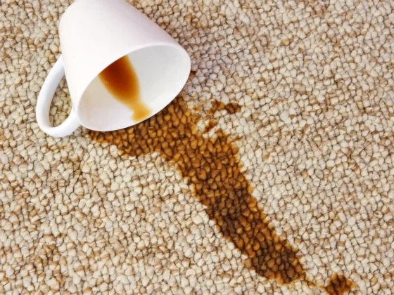 a cup of coffee spilled on carpet
