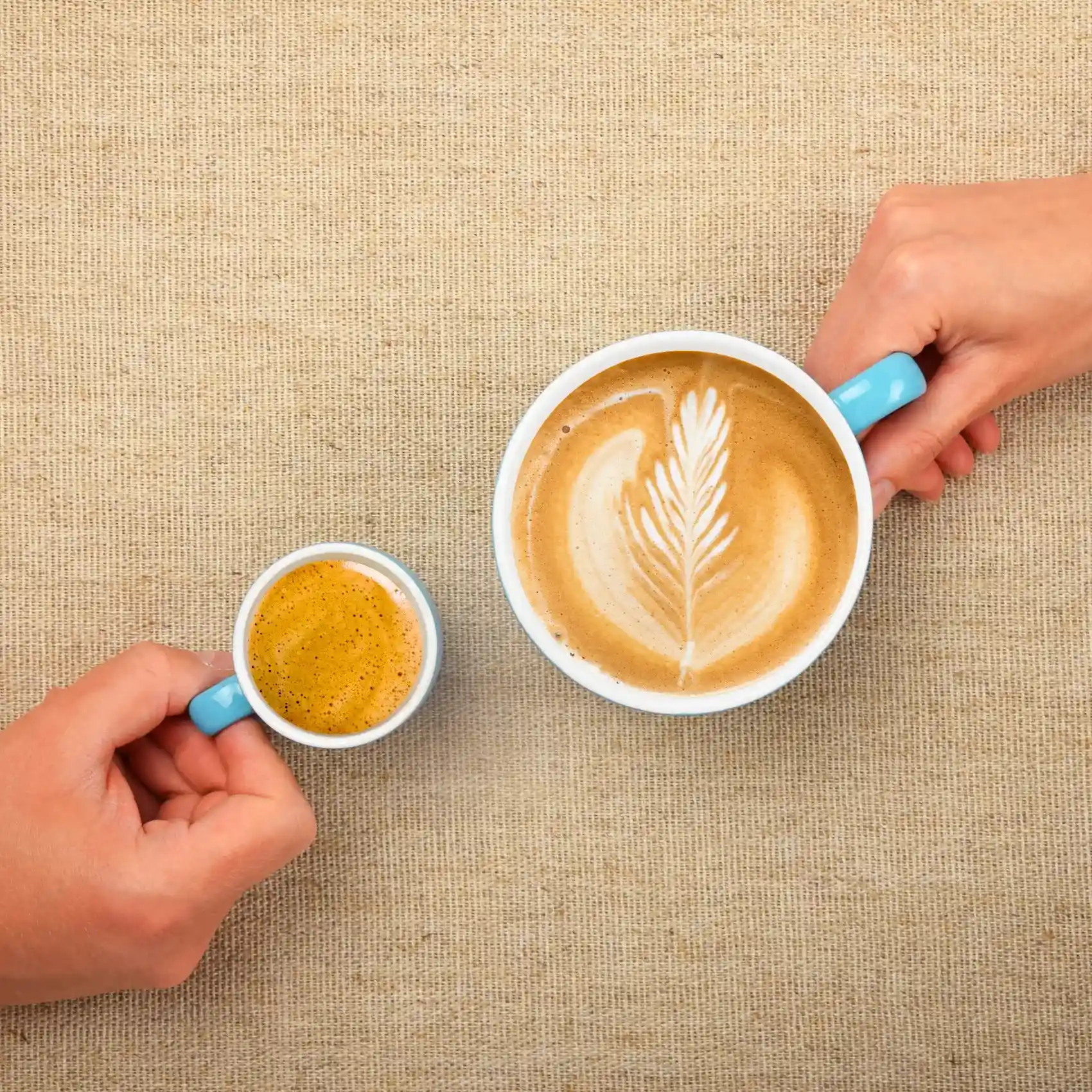 two hands holding a cup of coffee