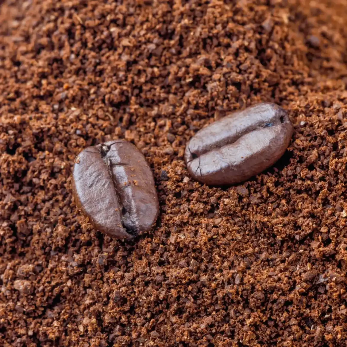 a close up of coffee beans and ground coffee
