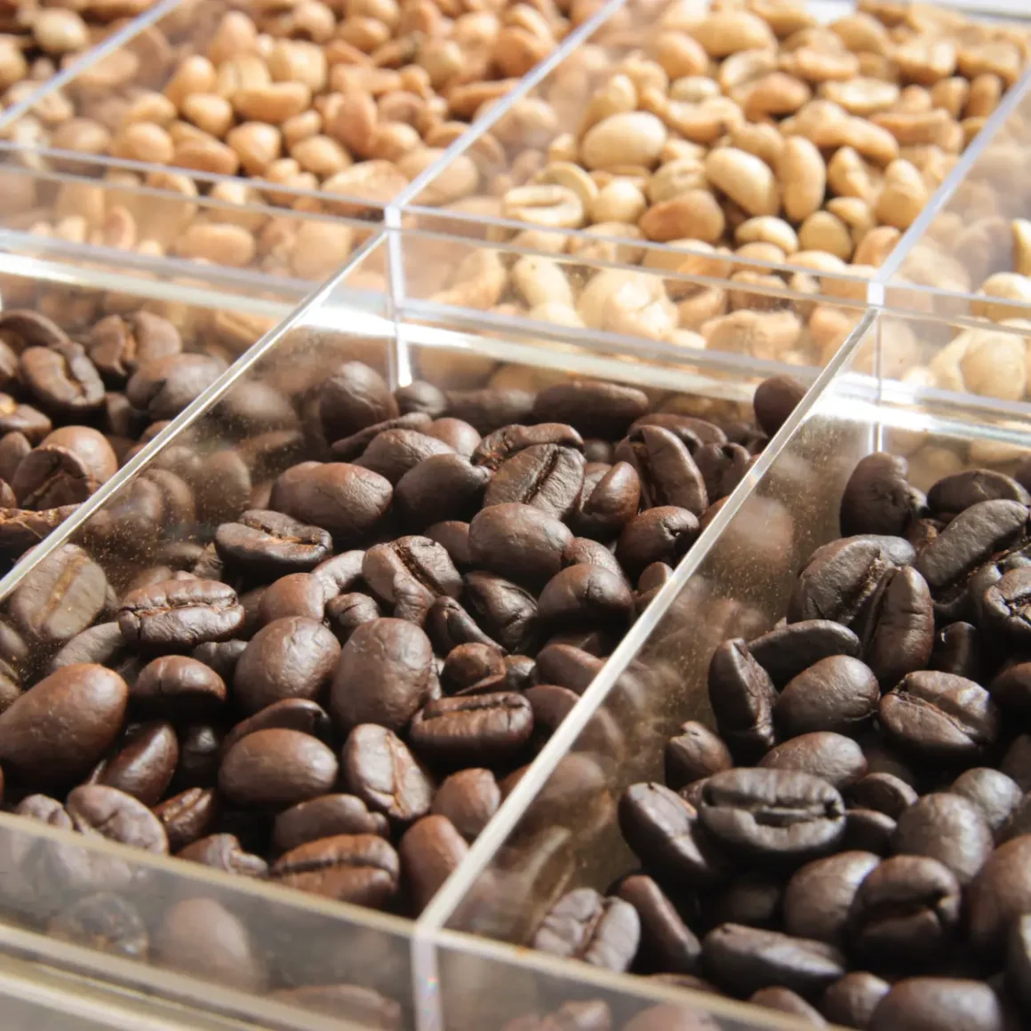 a group of different types of coffee beans