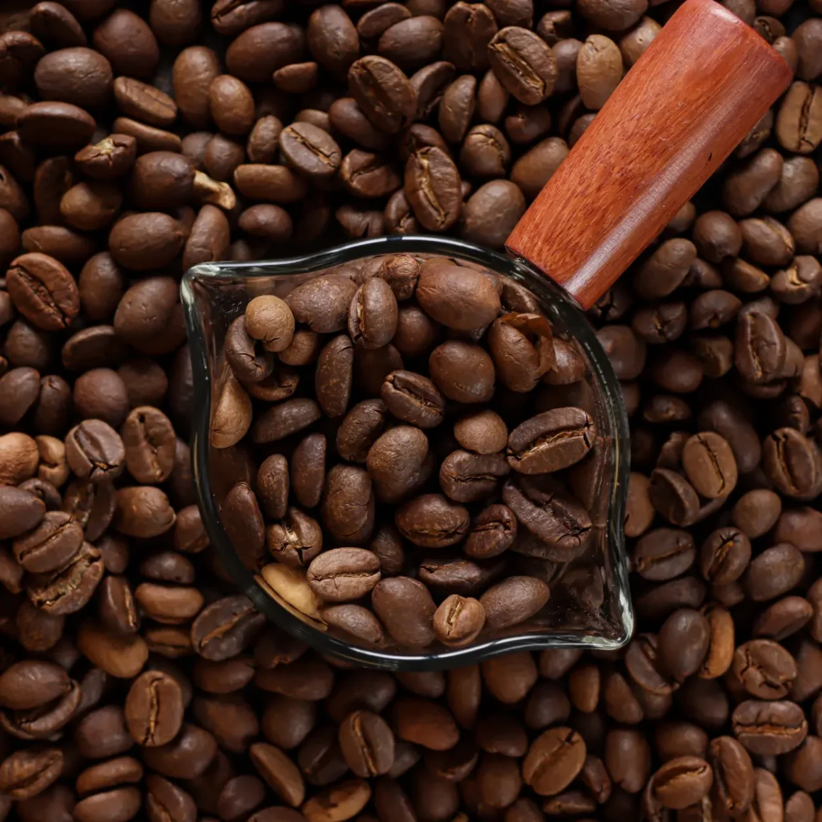 potrafilter with coffee beans in it