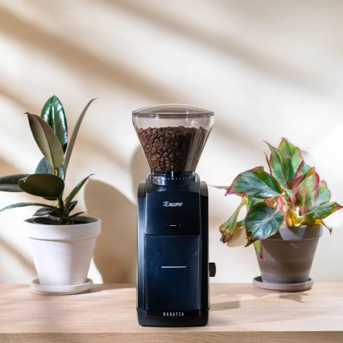 a baratza encore coffee grinder with a potted plant