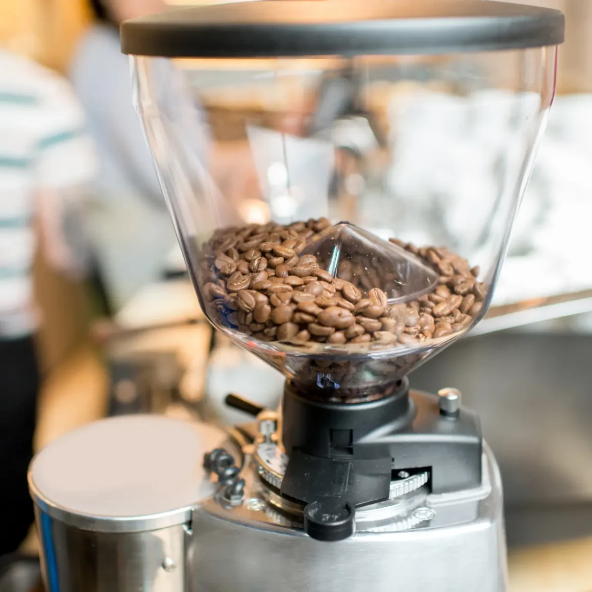 a coffee beans in a grinder burr coffee grinder