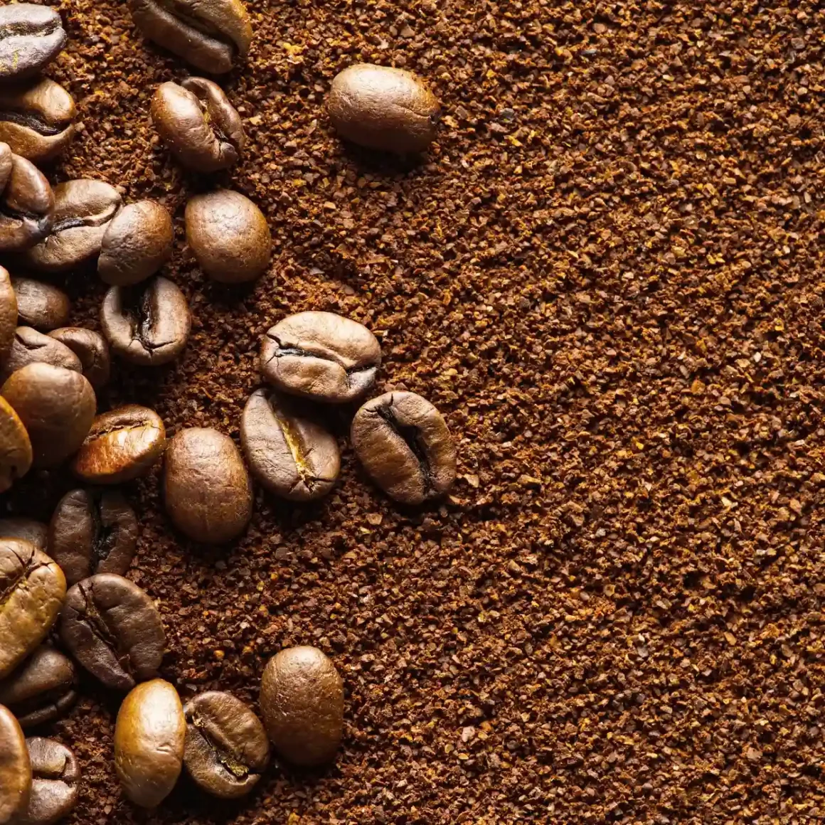 light roast coffee beans with ground coffee on a surface