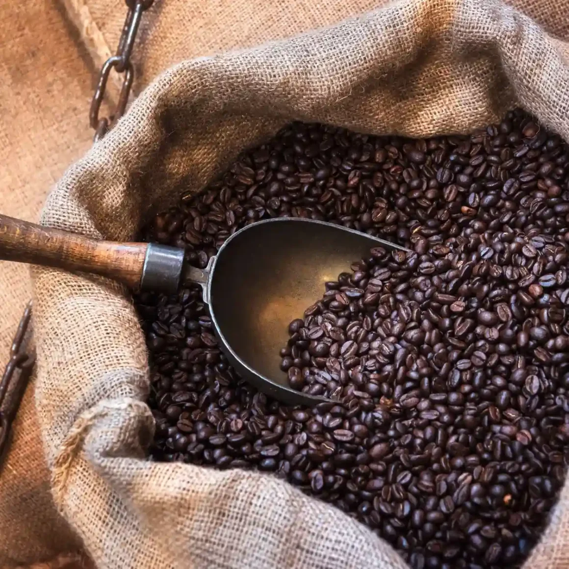 a bag of dark roast coffee beans with a scoop