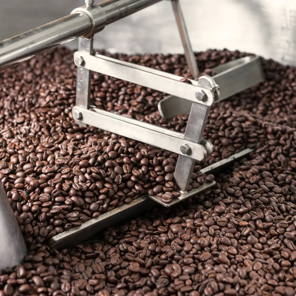 a machine with dark roast coffee beans