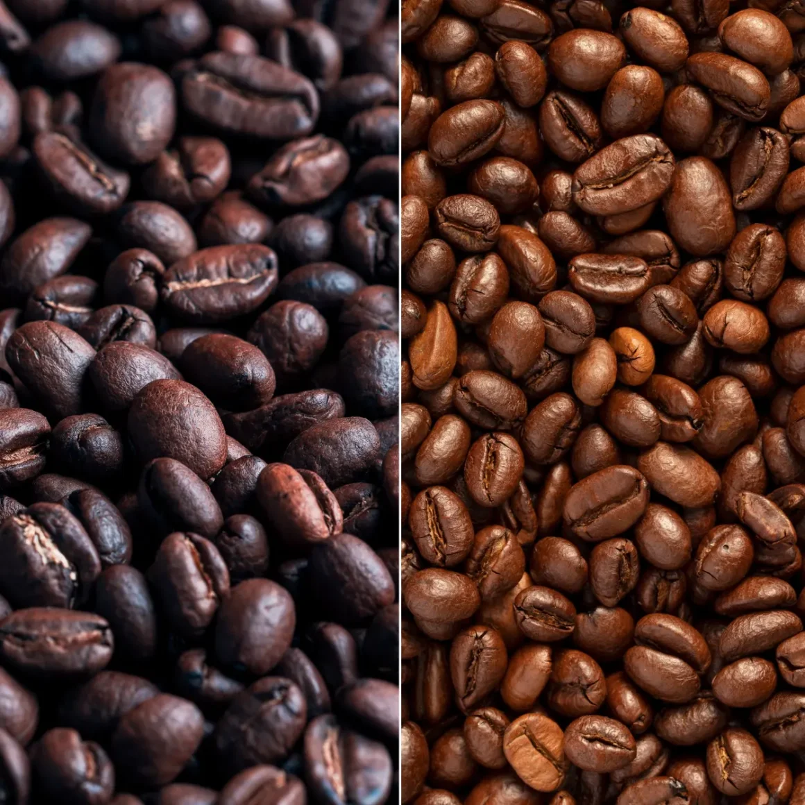 a close up of dark roast and medium roast coffee beans
