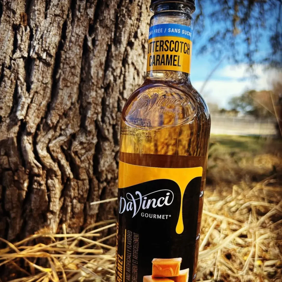 a bottle of davinci gourmet sugar free soffee syrup