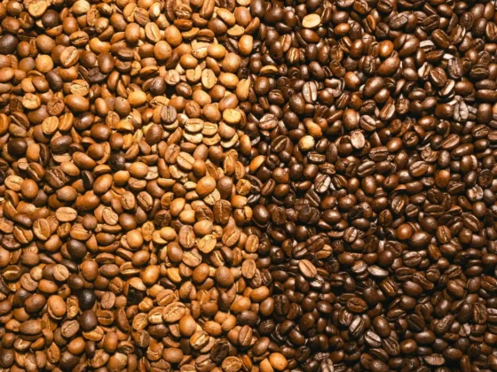 a pile of light roast and dark roast coffee beans