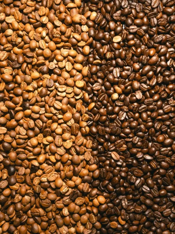 a pile of light roast and dark roast coffee beans
