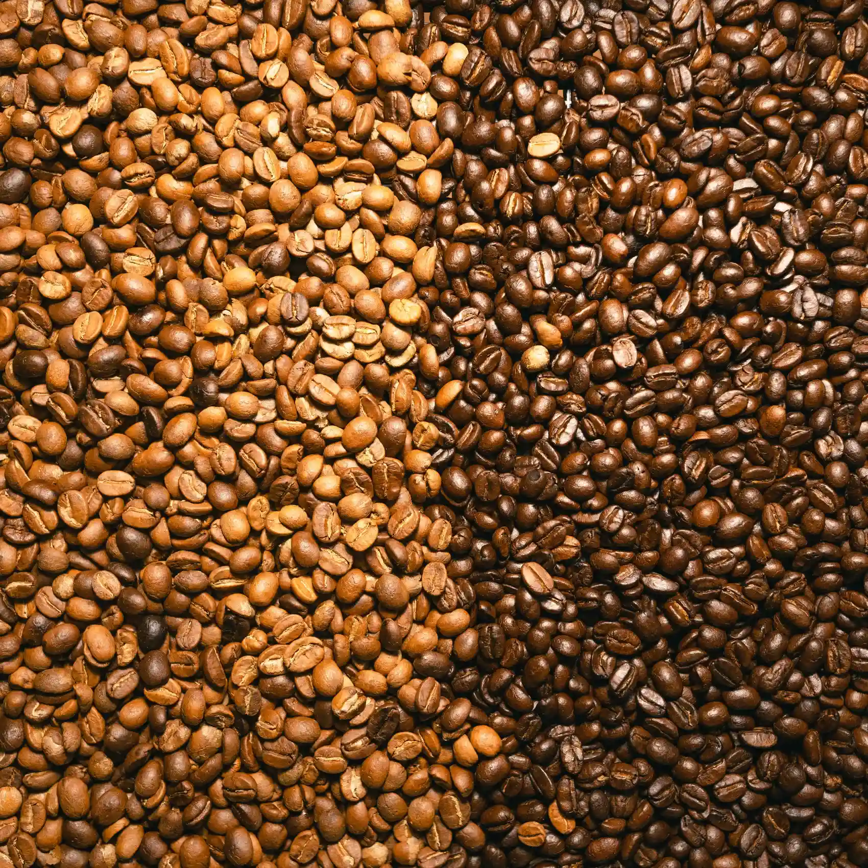 Light Roast vs Dark Roast Coffee Exploring the Key Differences