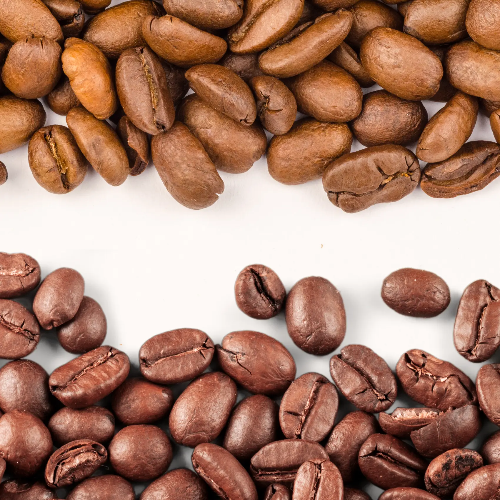 a close up of light roast coffee beans and medium roast coffee beans