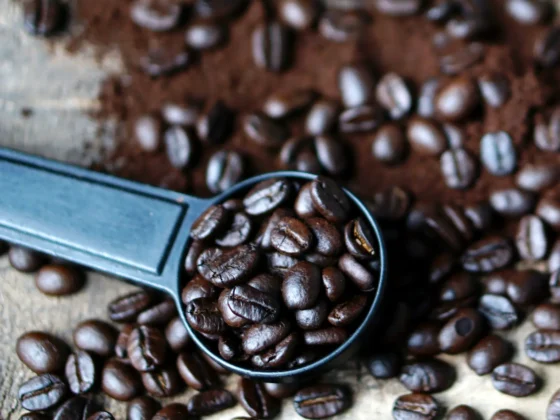 a spoon with full city roast coffee beans and ground coffee