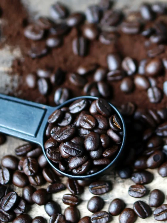 a spoon with full city roast coffee beans and ground coffee