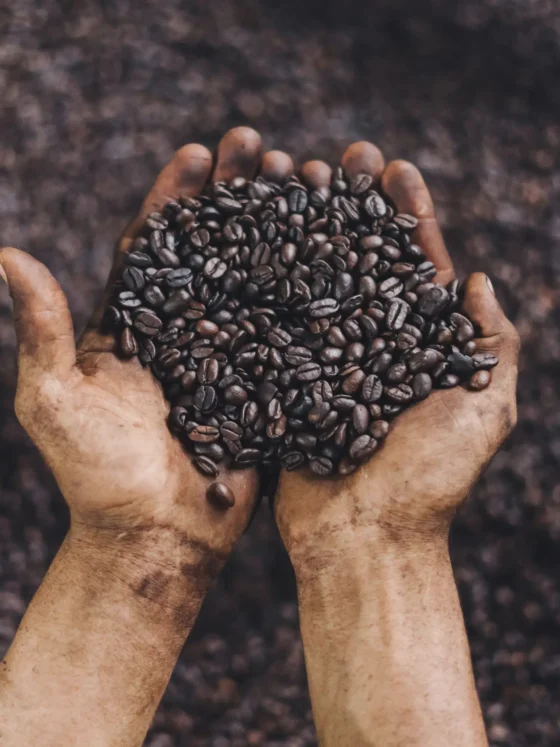 a person holding vienna roast coffee beans