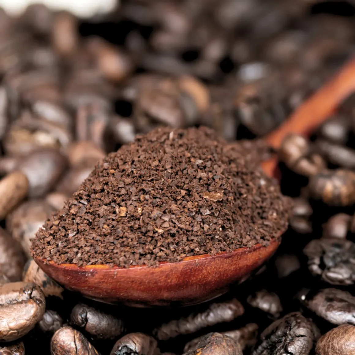 a spoon full of vienna roast ground coffee on a pile of coffee beans