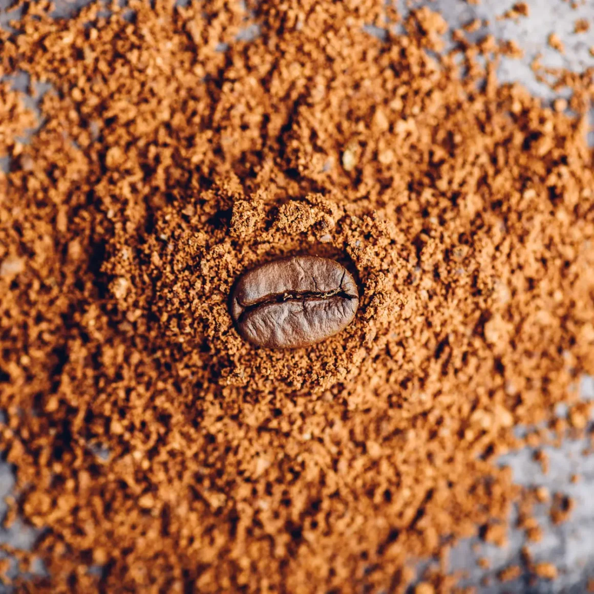 a coffee bean in a pile of ground coffee