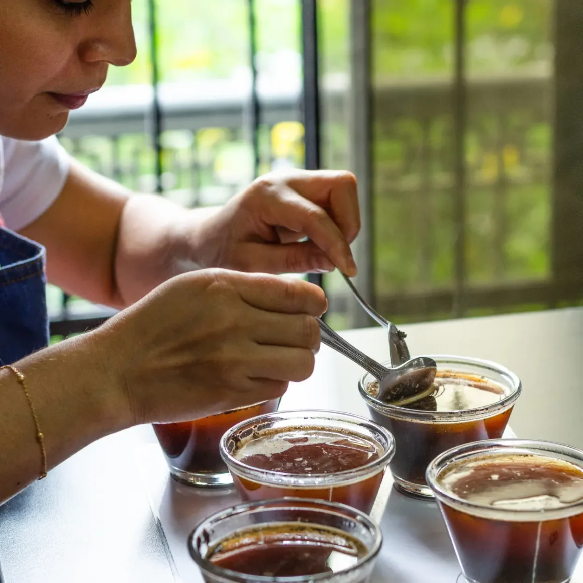barista coffee cupping