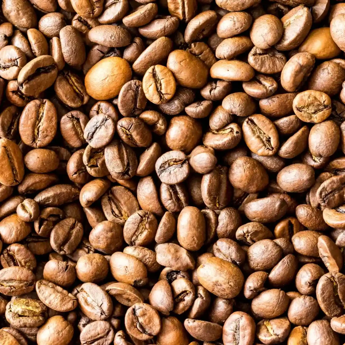 a pile of light roast coffee beans