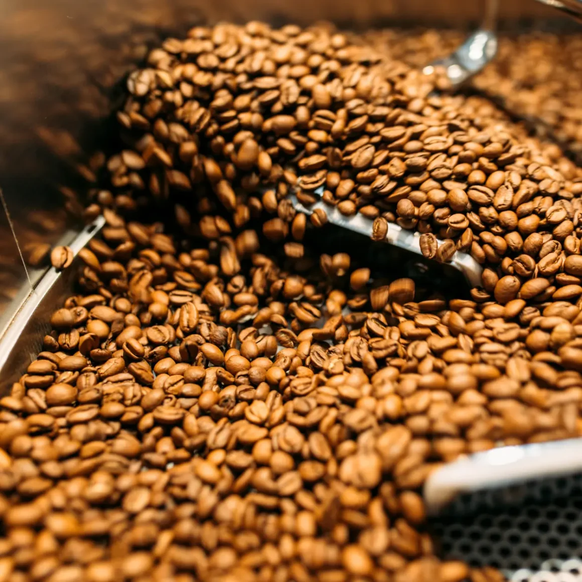 a machine with light roast coffee beans