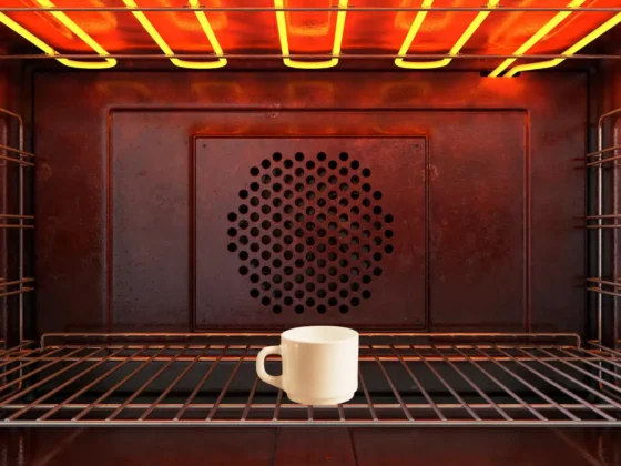 mug in a oven
