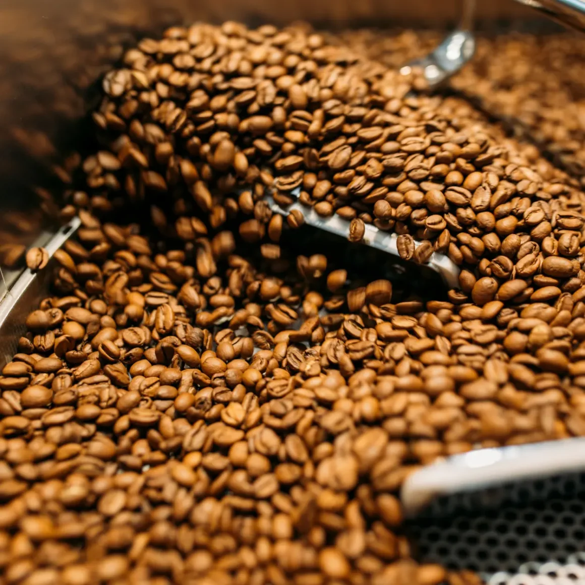 a coffee beans in a container
