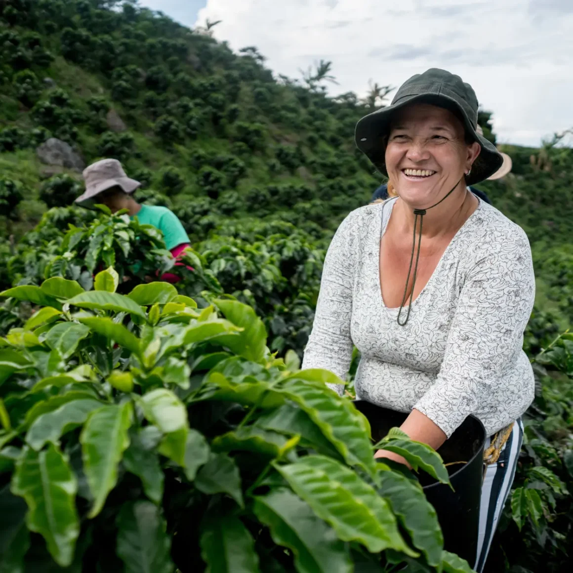 a woman in a hat in a coffee plantation