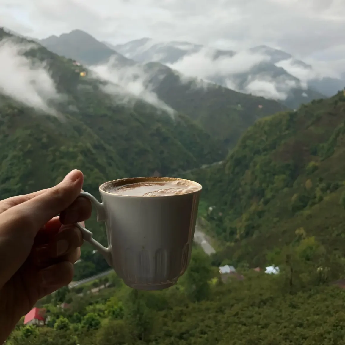 a hand holding a cup of coffee with coffee terroir in the background