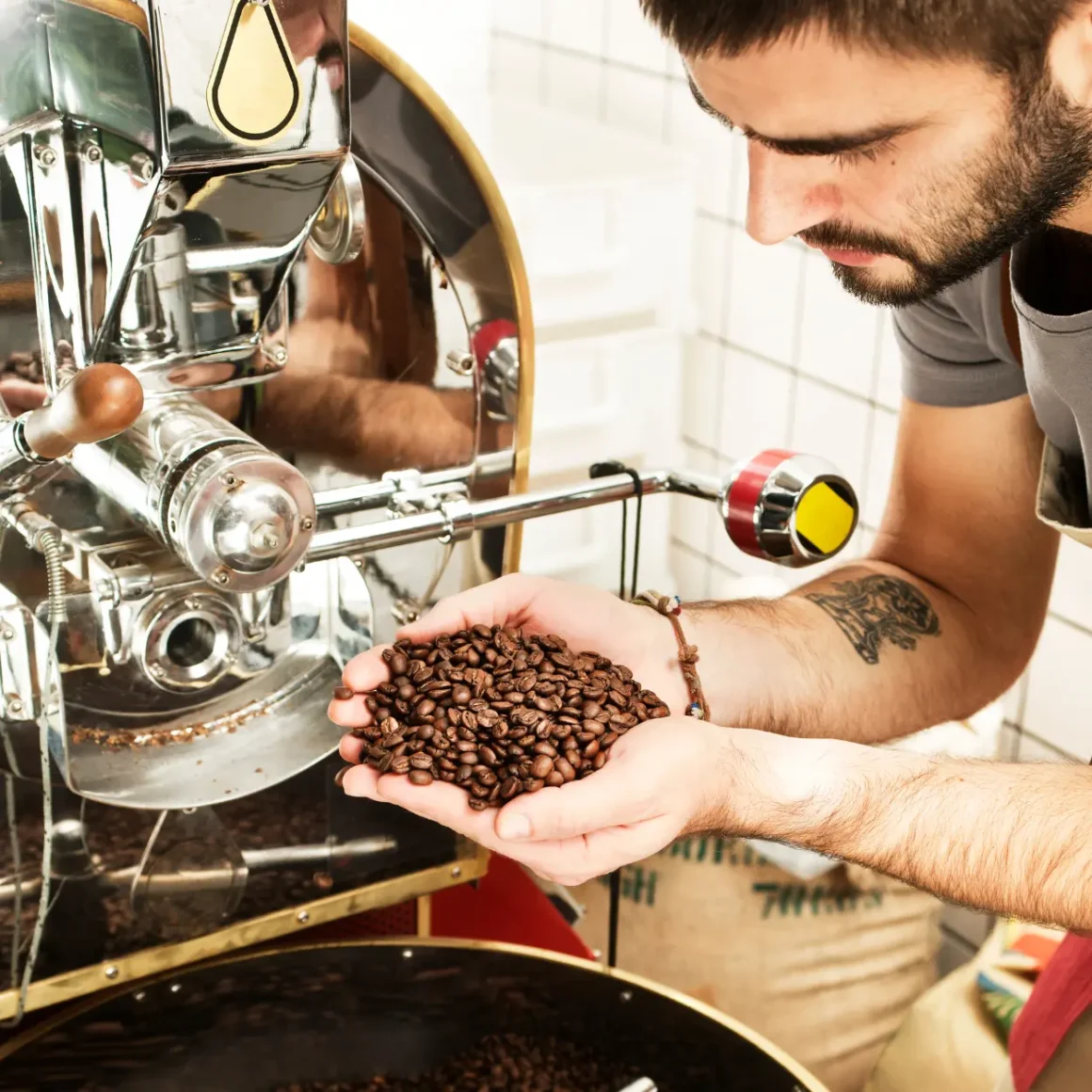 barista holding a handful of light roast coffee beans