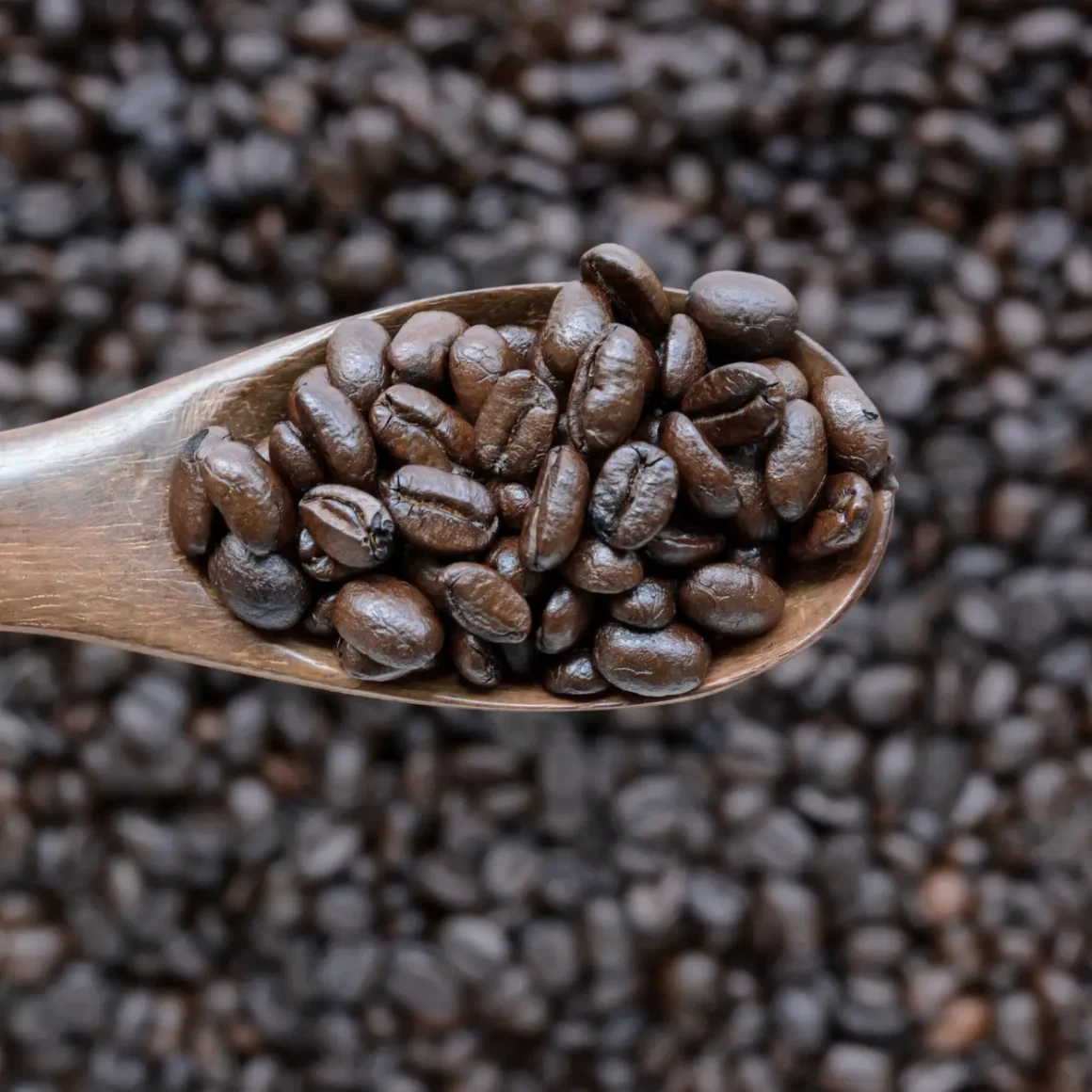 a wooden spoon full of full city roast coffee beans