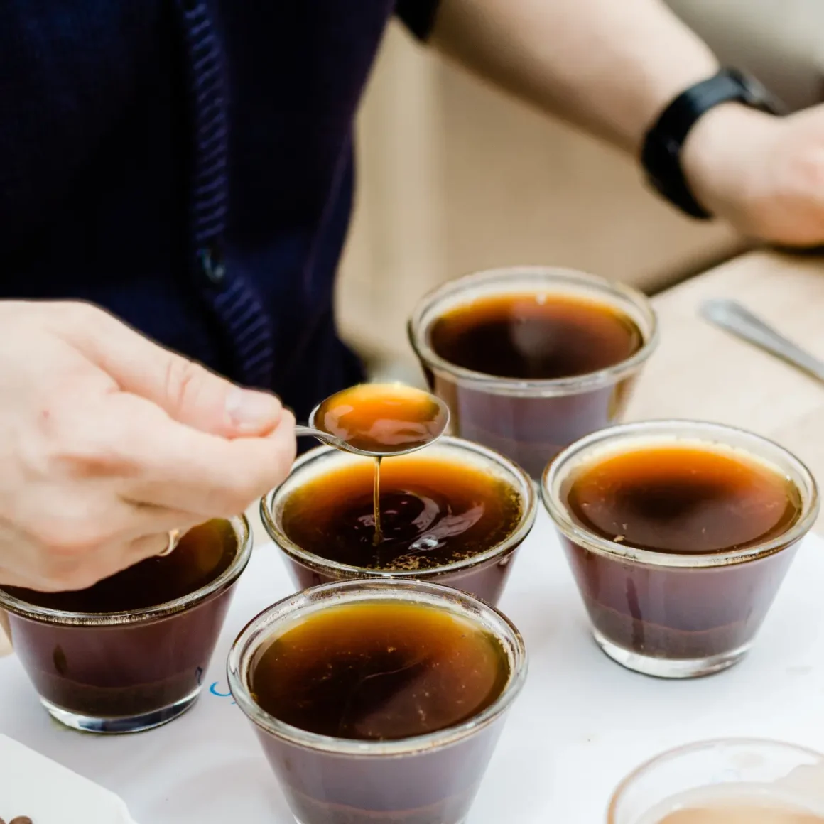 barista pouring coffee into small cups