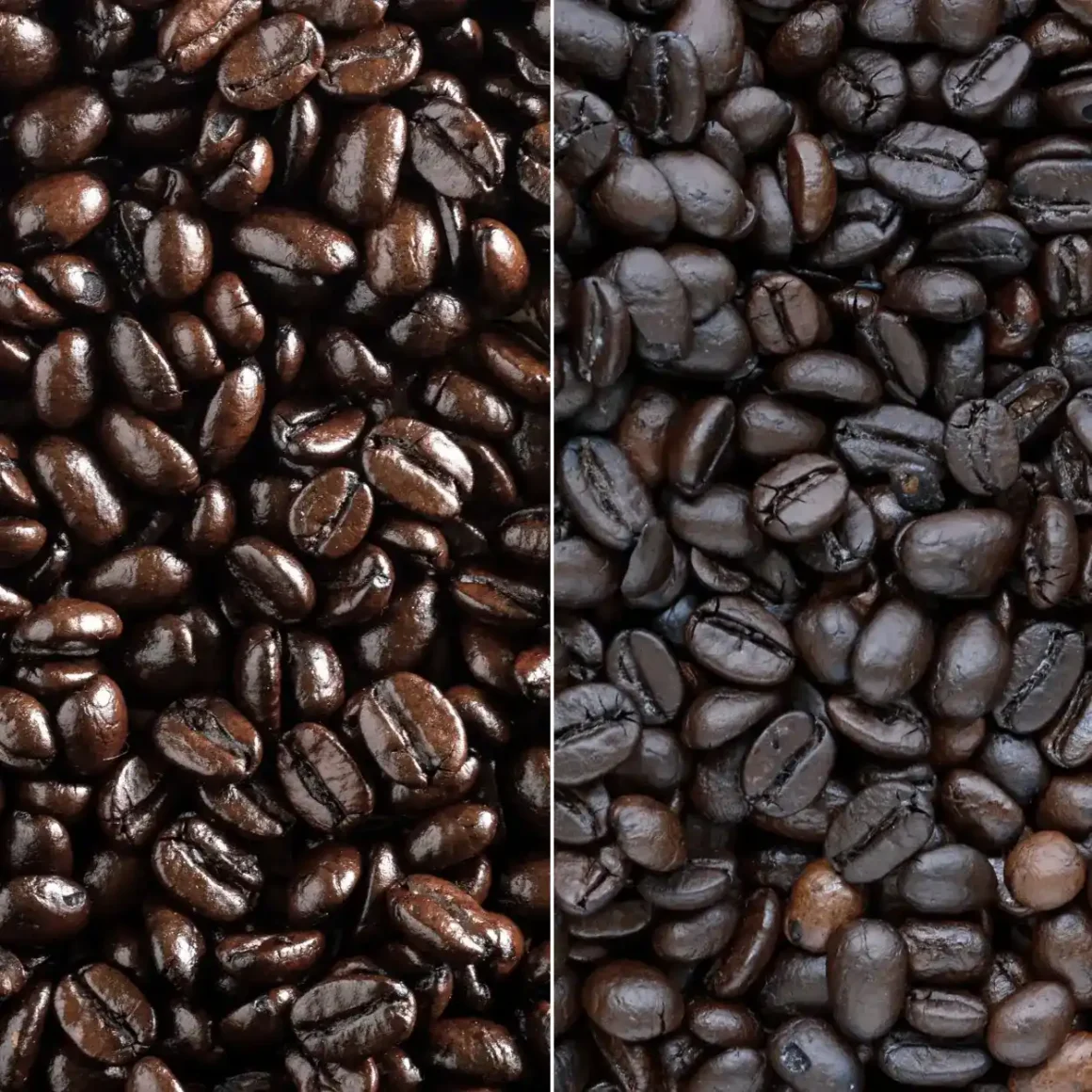 a collage of vienna roast and french roast coffee beans