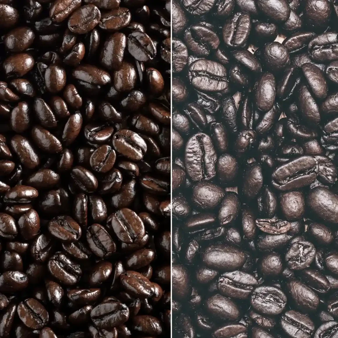 a collage of vienna roast and italian roast coffee beans
