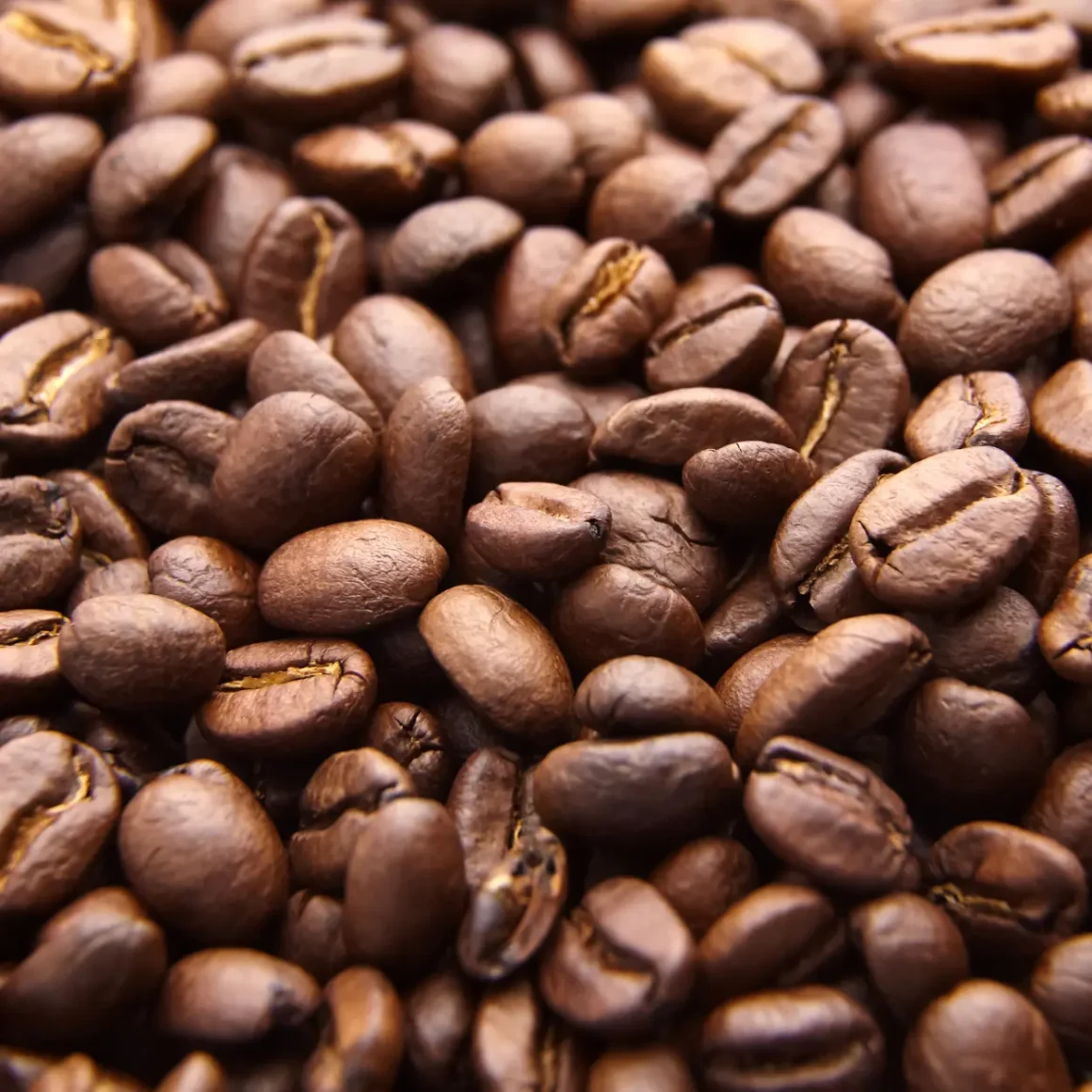 a pile of medium roast coffee beans