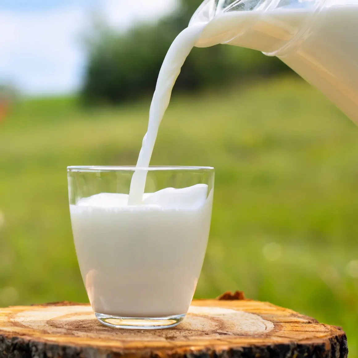 milk being poured into a glass