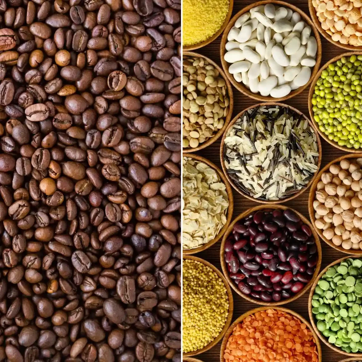 a close up of bowls of different legume beans and coffee beans