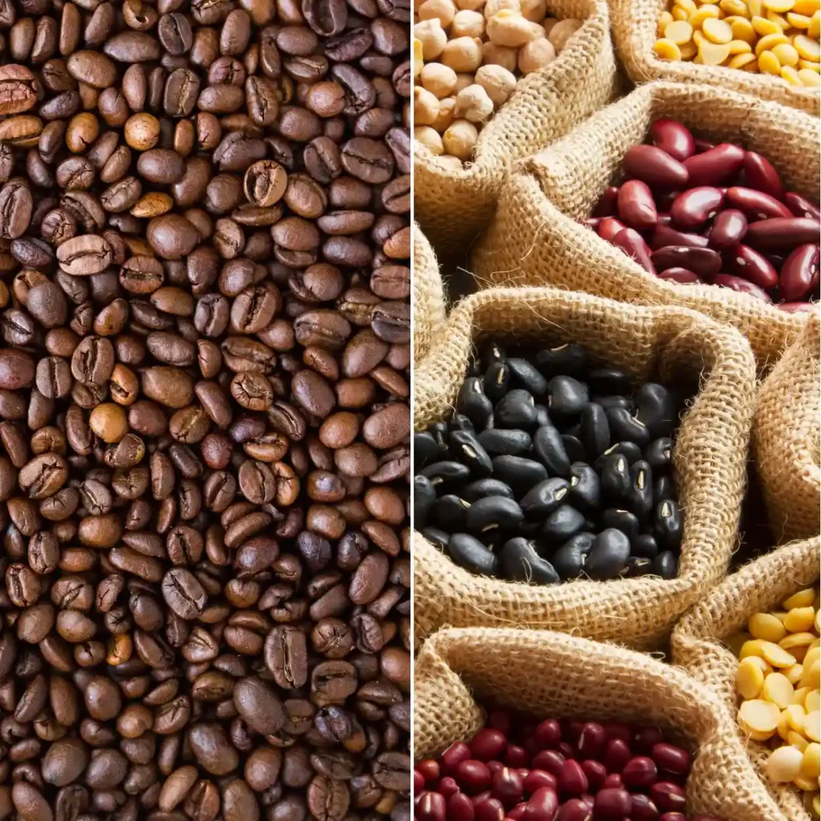 a collage of different types of legume beans and coffee beans