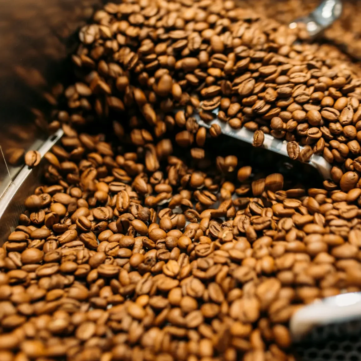 a close up of coffee beans